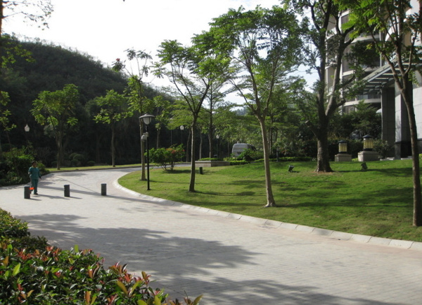 小區(qū)綠化