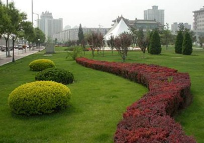 公園綠化